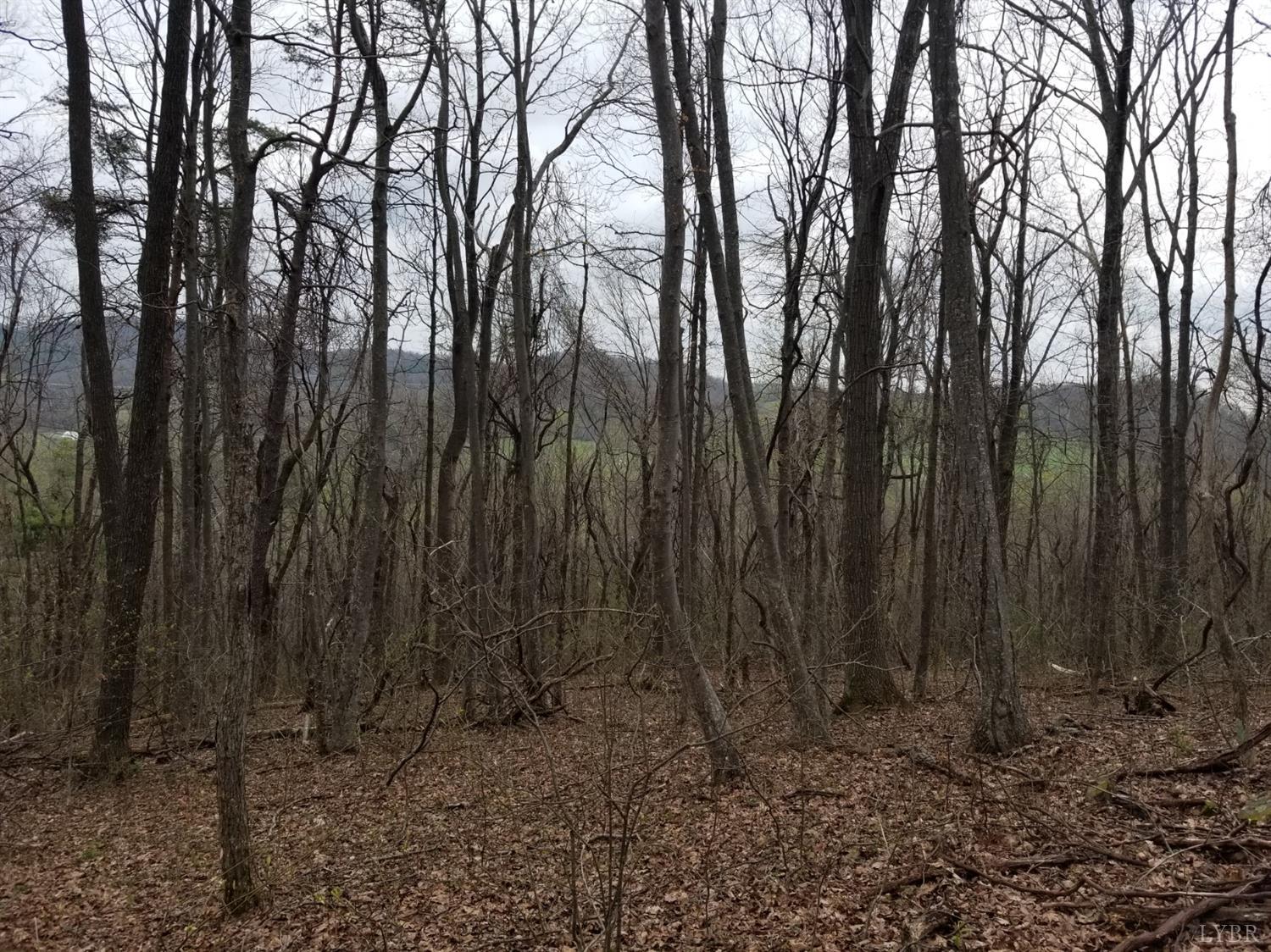0 Haycock Road Southeast Floyd, VA 24091 - Photo 5 of 22 a view of lots of trees