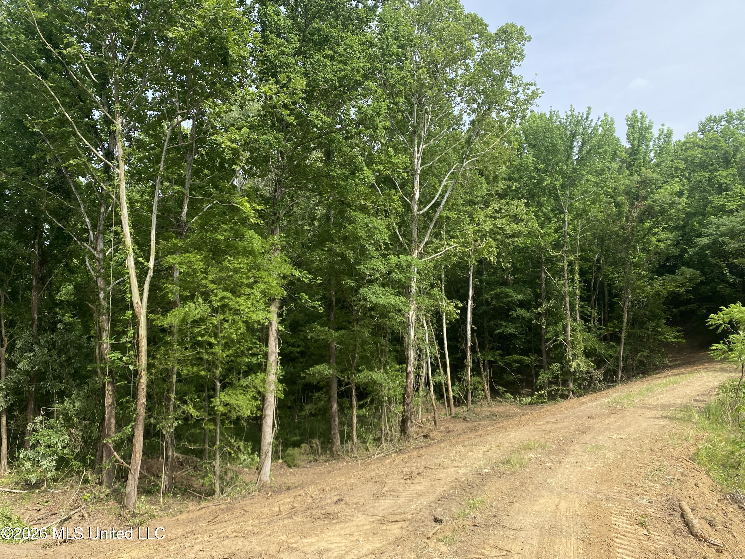 5317 Highway 3 Sarah, MS 38665 - Photo 2 of 28 IMG_7917