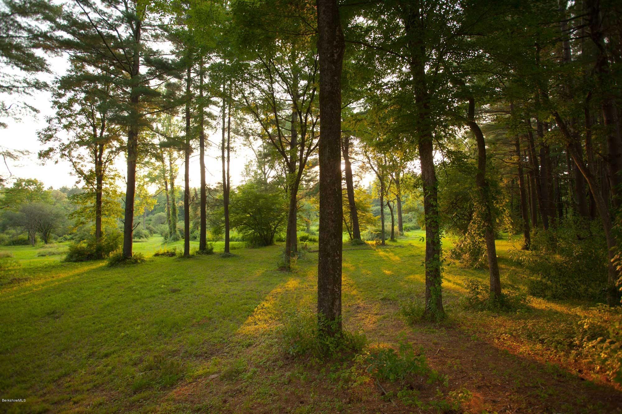 50 Hurlburt Road Great Barrington, MA 01230 - Photo 24 of 26 sanctuary