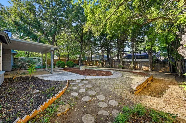 a view of a yard with plants and large trees