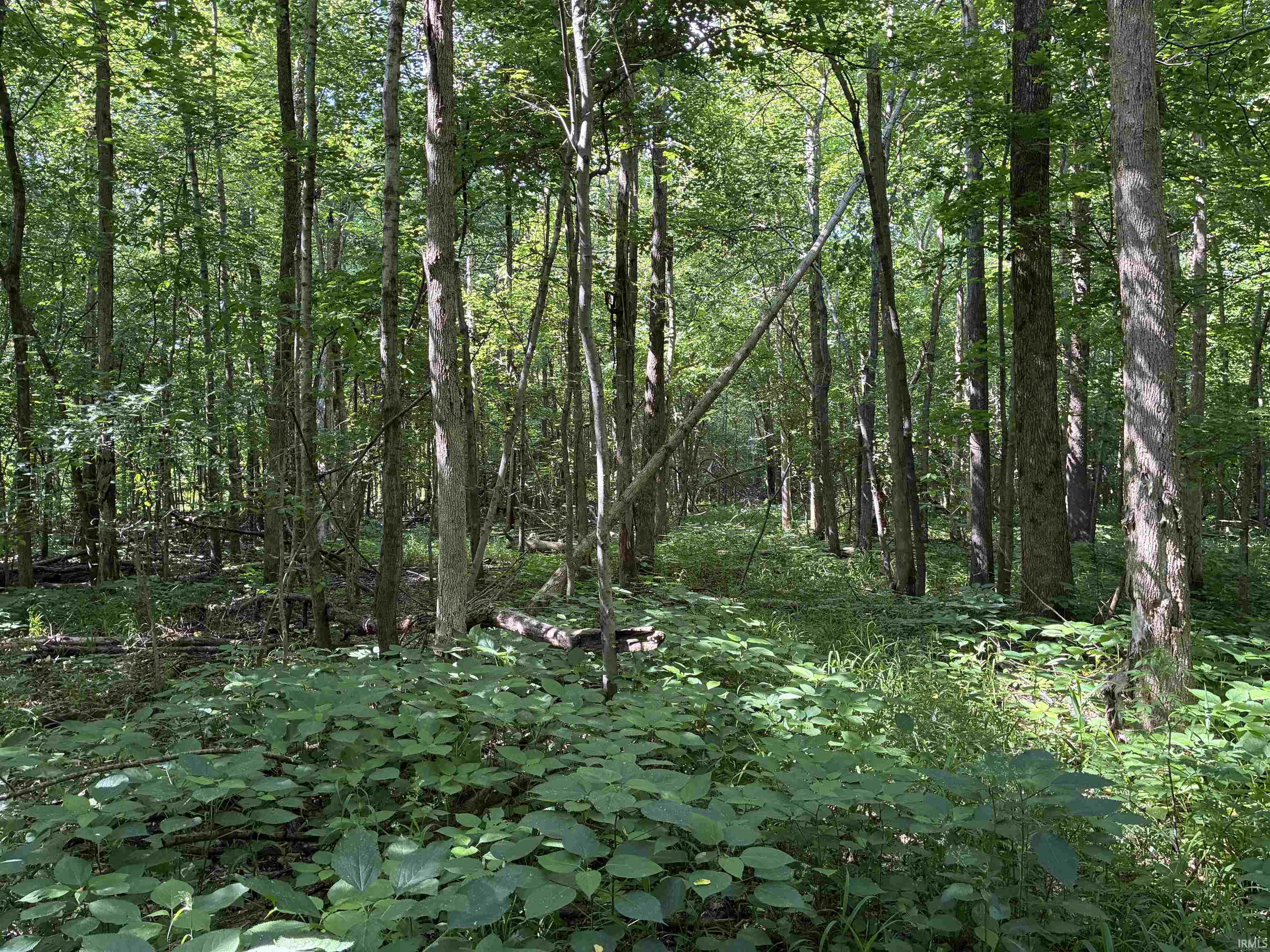 257 State Road Velpen, IN 47590 - Photo 21 of 29