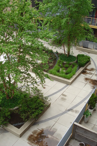 1910 South Indiana Avenue, Unit 321 Chicago, IL 60616 - Photo 24 of 25 a view of a garden