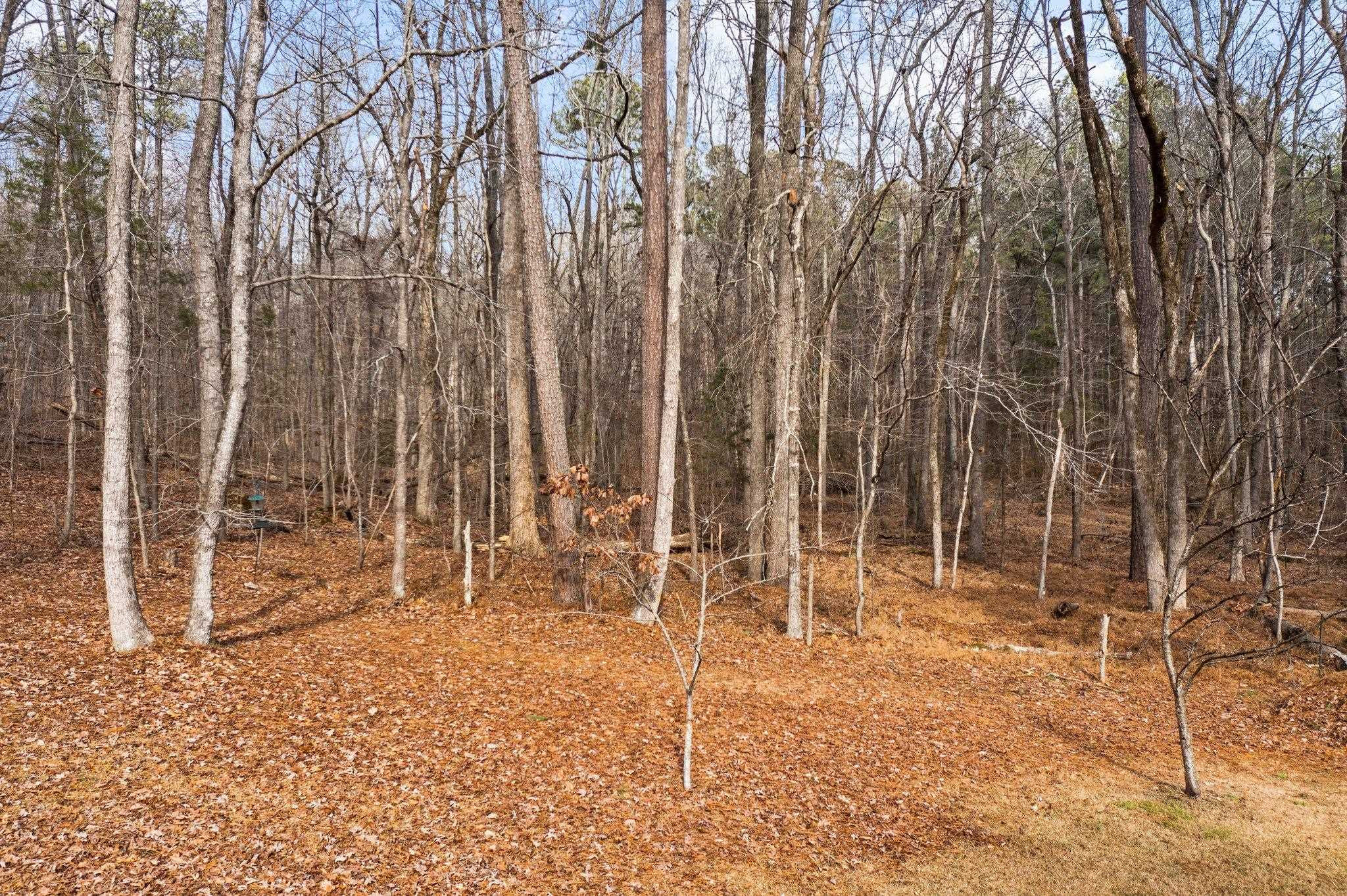 6041 Burgundy Road Durham, NC 27712 - Photo 34 of 45 Photo 34