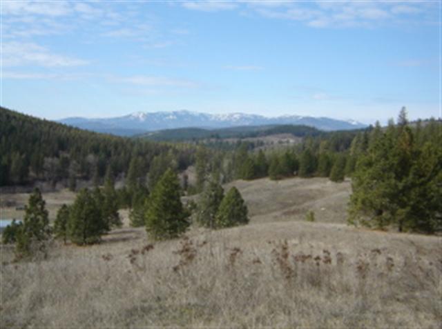 900 Buffalo-Wilson Road Colville, WA 99114 - Photo 1 of 9