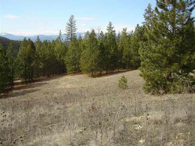 900 Buffalo-Wilson Road Colville, WA 99114 - Photo 5 of 9