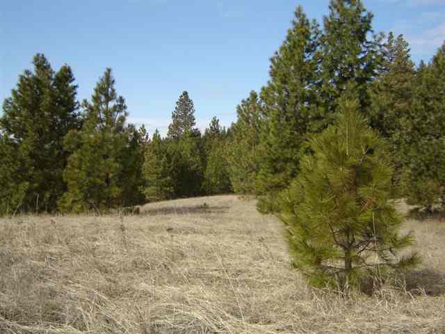 900 Buffalo-Wilson Road Colville, WA 99114 - Photo 6 of 9