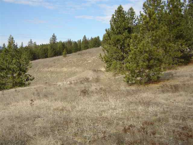 900 Buffalo-Wilson Road Colville, WA 99114 - Photo 8 of 9