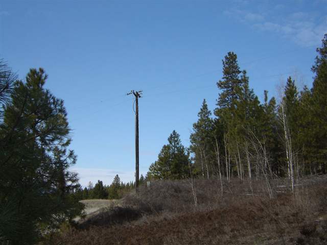 900 Buffalo-Wilson Road Colville, WA 99114 - Photo 9 of 9