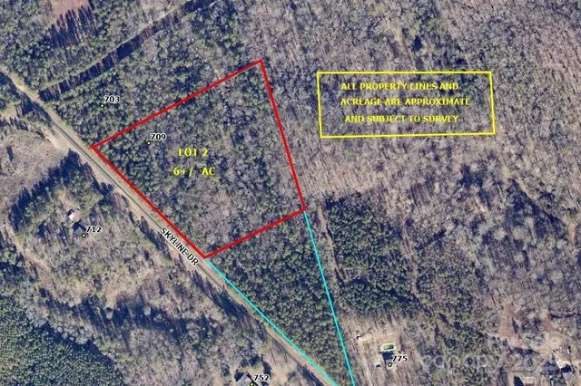 a view of a wooden wall with a plant