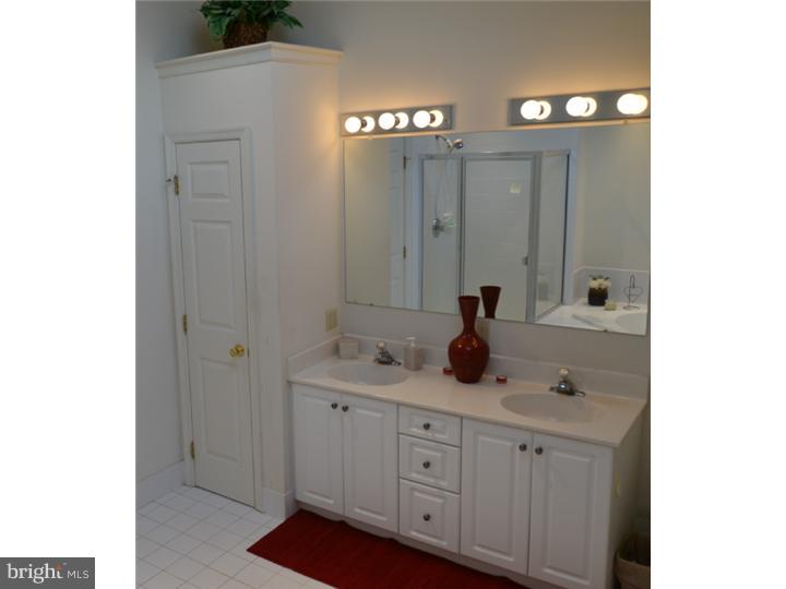 110 Danny Road Sanatoga, PA 19464 - Photo 18 of 22 Master Bathroom