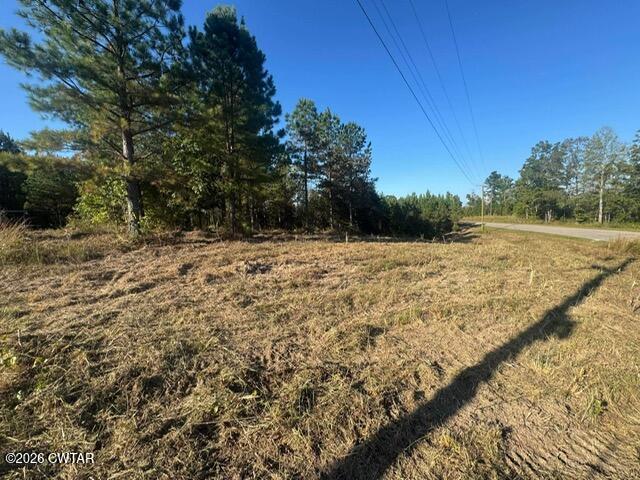 0 Franks Road Sugar Tree, TN 38380 - Photo 1 of 5 b0bf7567210a07bd9fd5f903e2589a6d (1)