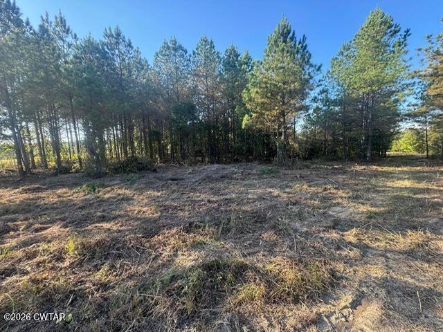 0 Franks Road Sugar Tree, TN 38380 - Photo 2 of 5 bcdec7603db02e8eec2ffd36f5175107 (1)