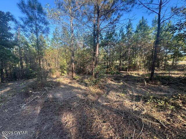 0 Franks Road Sugar Tree, TN 38380 - Photo 4 of 5 44a91f1c9dcbcbc2aa0b3eaa926c6bd6 (1)