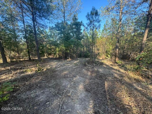 0 Franks Road Sugar Tree, TN 38380 - Photo 5 of 5 43fc3c672a6a1b42d29ebf3abdf58be2