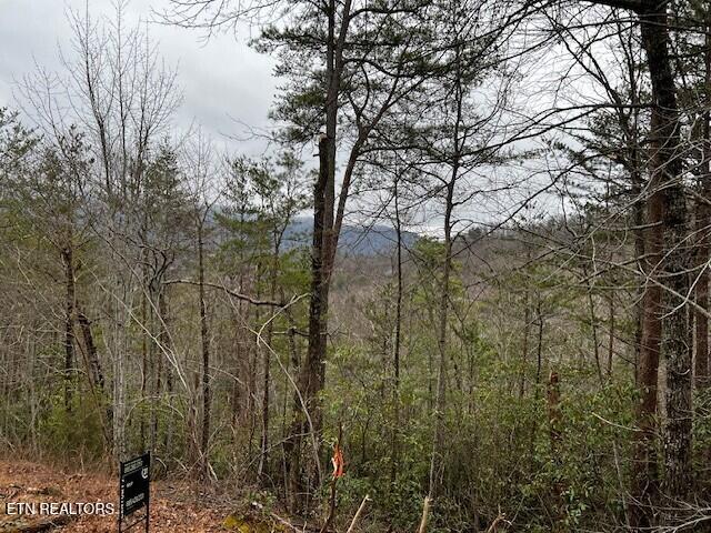 - Round Top Way Sevierville, TN 37862 - Photo 2 of 26 Distant mountain view