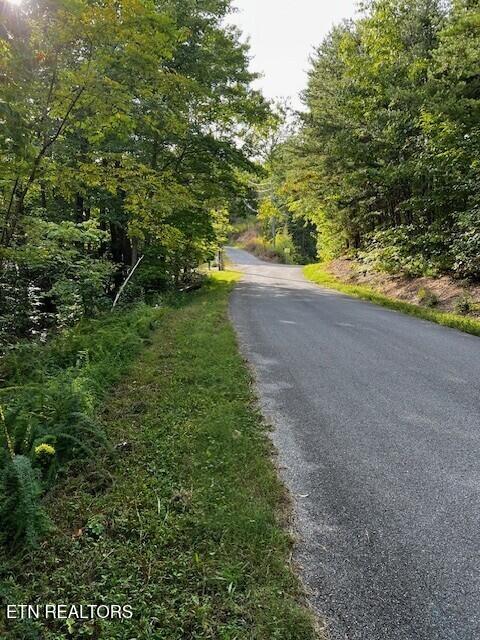 - Round Top Way Sevierville, TN 37862 - Photo 25 of 26 Street view 2