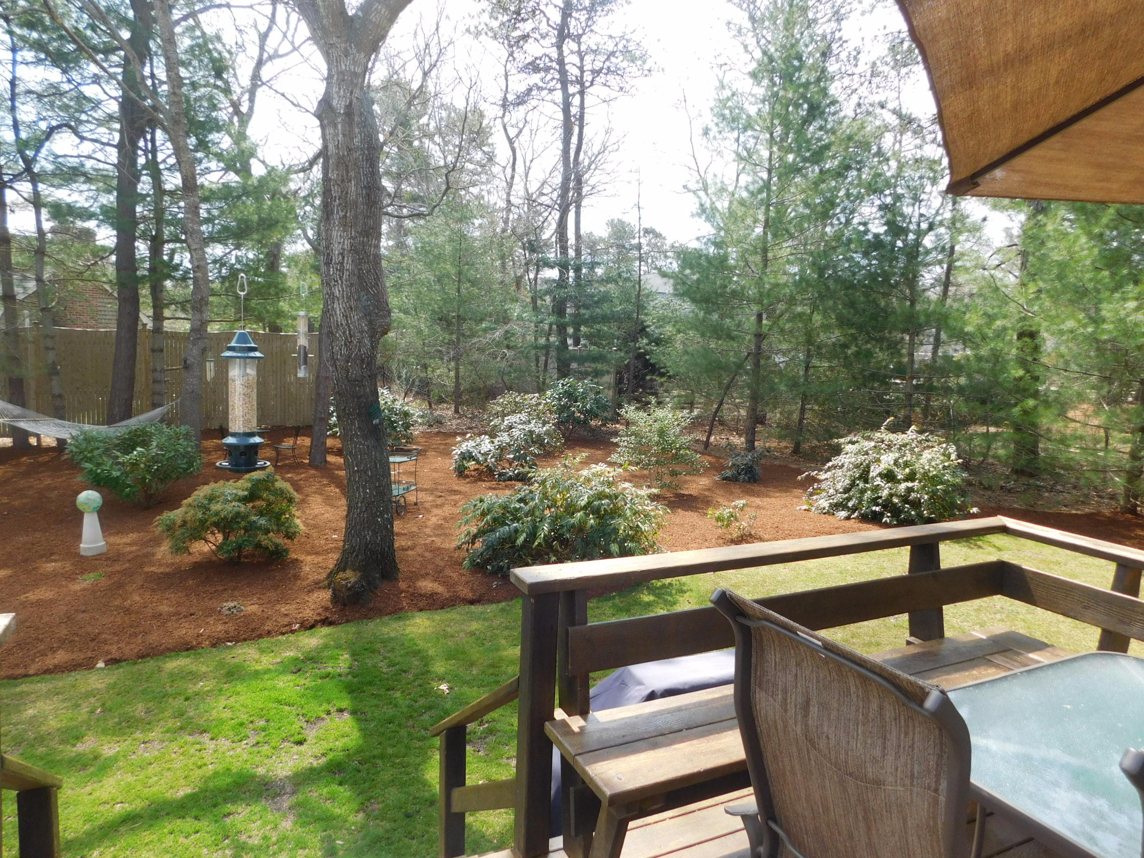 17 Captain Carltons Road Cotuit, MA 02635 - Photo 6 of 26 a view of a bench in the garden