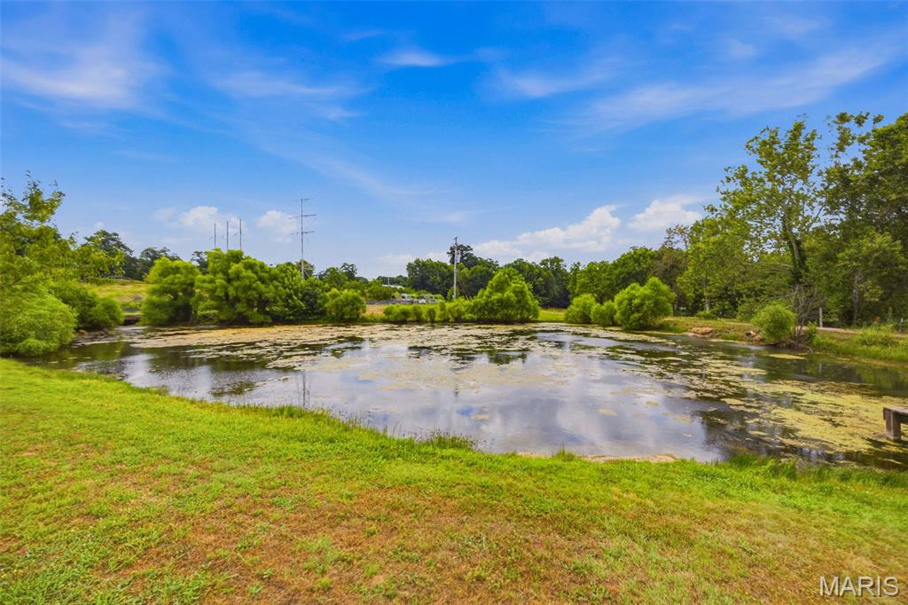 3245 Cedar Falls Road Bonne Terre, MO 63628 - Photo 79 of 99