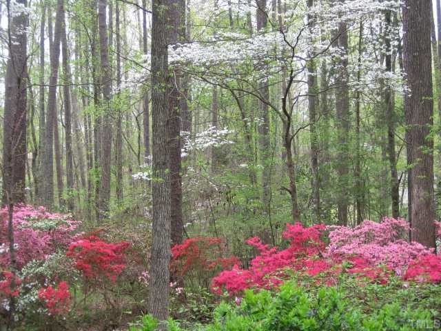 3115 Ridge Road Durham, NC 27705 - Photo 11 of 12 The yard is filled with color year round. This is the view off the back porch. Very private for being so close to Duke, Durham Academy & shopping. Very private!