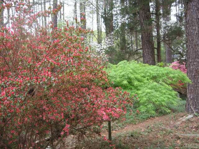 3115 Ridge Road Durham, NC 27705 - Photo 8 of 12 Japanese maple, dogwoods, azaleas, camellias, evergreens and an assortment of wonderful plants are interspurced along wooded paths all throughout the spacious backyard. Almost 2 acres of land, and included in price is the extra building lot.