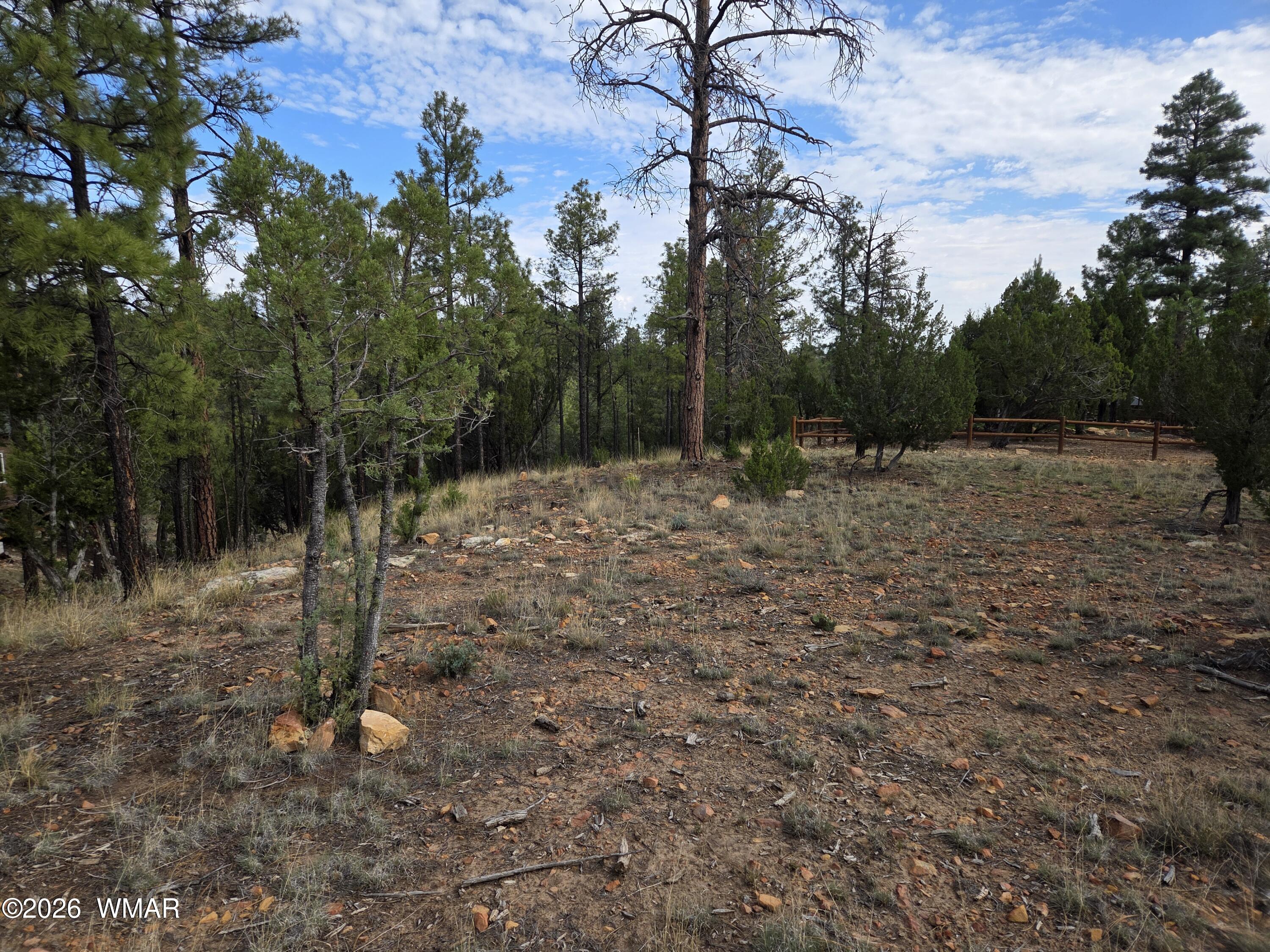 3332 Sawmill Ridge Loop Heber, AZ 85928 - Photo 5 of 12