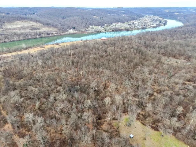 an aerial view of forest