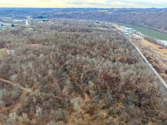 a view of a dry yard with trees