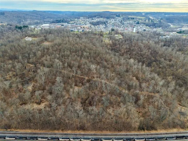 a view of a yard with trees