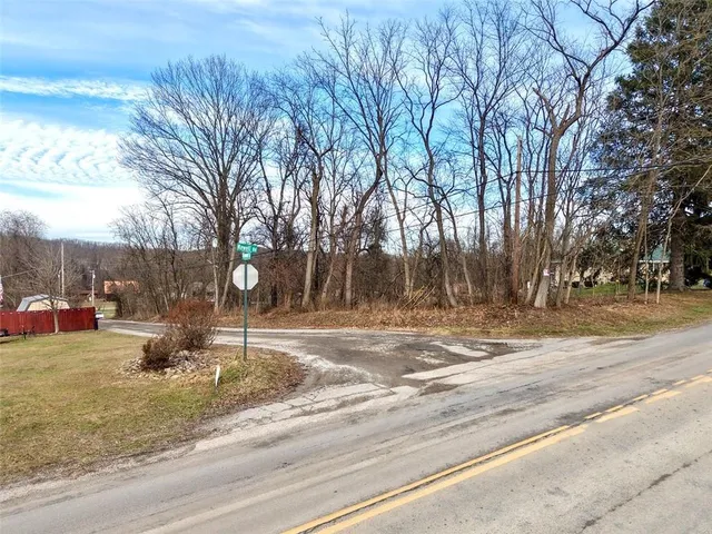 a park view with large trees