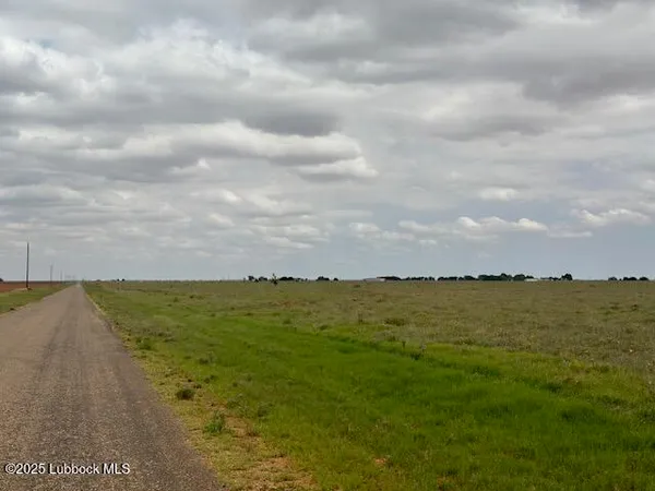 a view of a swimming pool and an outdoor space