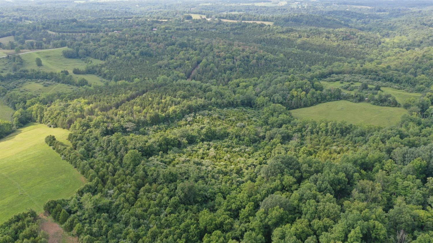 Acre Brier Ridge Road West Union, OH 45693 - Photo 24 of 27