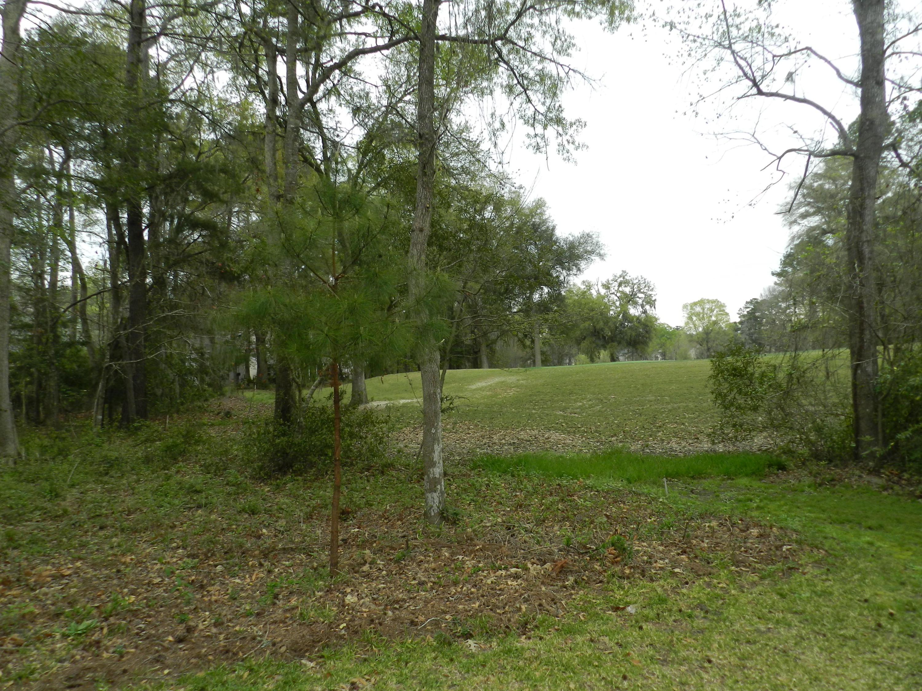 572 Pointe Of Oaks Road Summerville, SC 29485 - Photo 21 of 23 DSCN3400