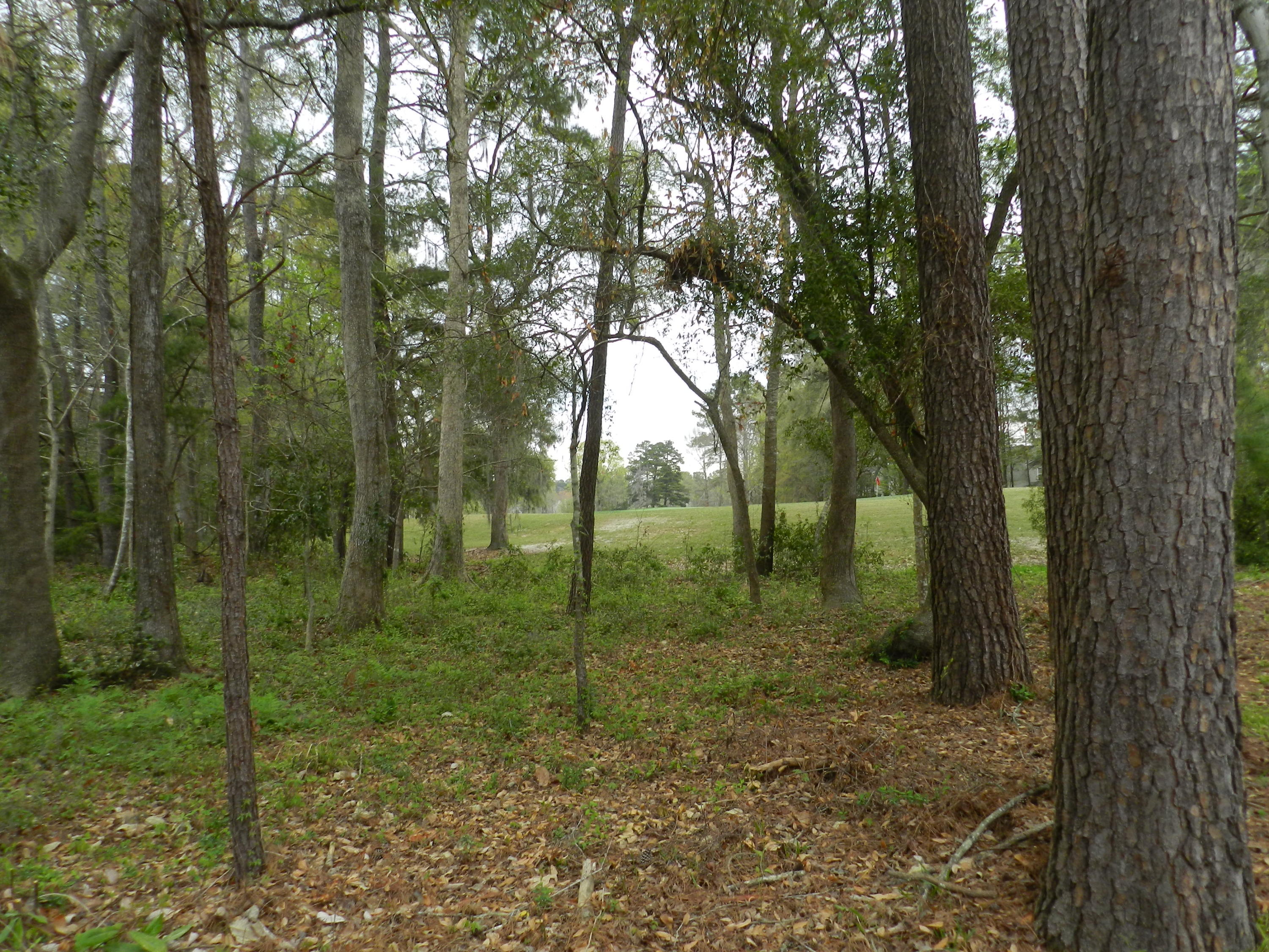 572 Pointe Of Oaks Road Summerville, SC 29485 - Photo 22 of 23 DSCN3398
