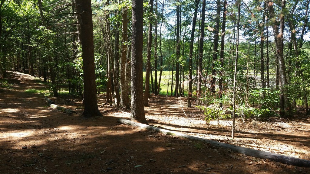 9 Nutting Road Westford, MA 01886 - Photo 21 of 22 Gallery Image 21