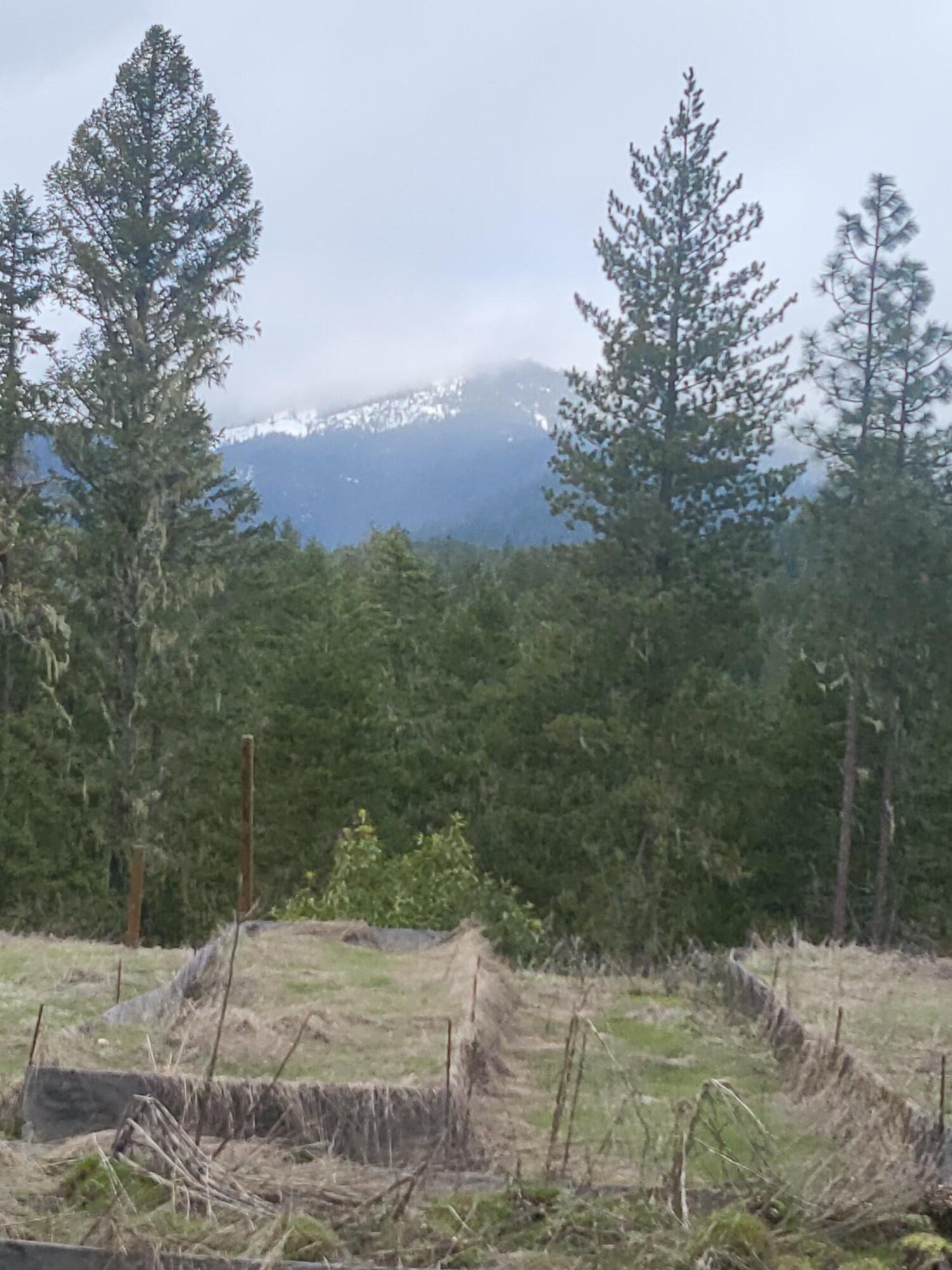 962 Indian Creek Road Selma, OR 97538 - Photo 31 of 42 Garden Area at top of the property looking South
