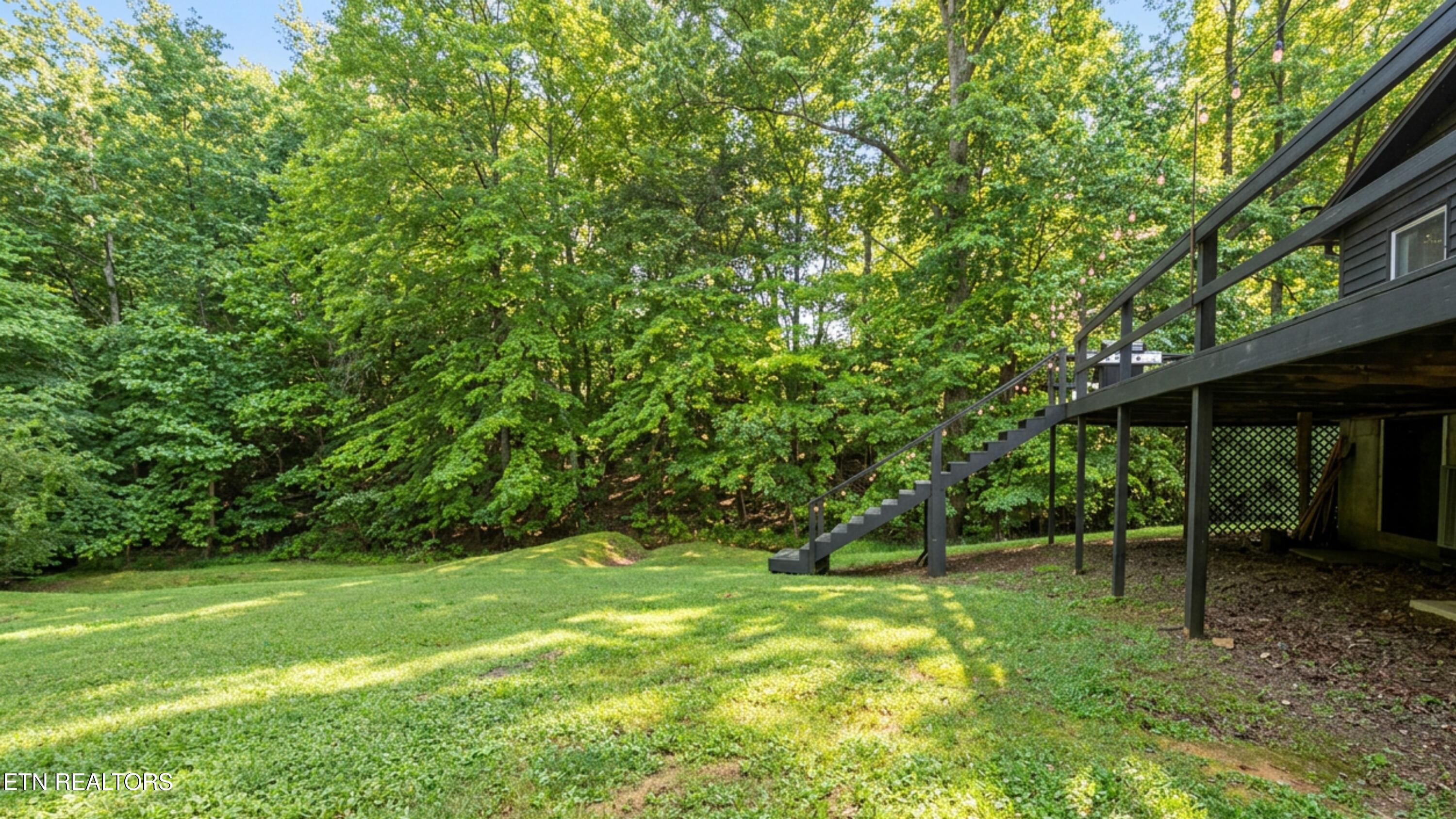 204 Black Fox Harbor Road Washburn, TN 37888 - Photo 25 of 35 204 Black Fox Harbor