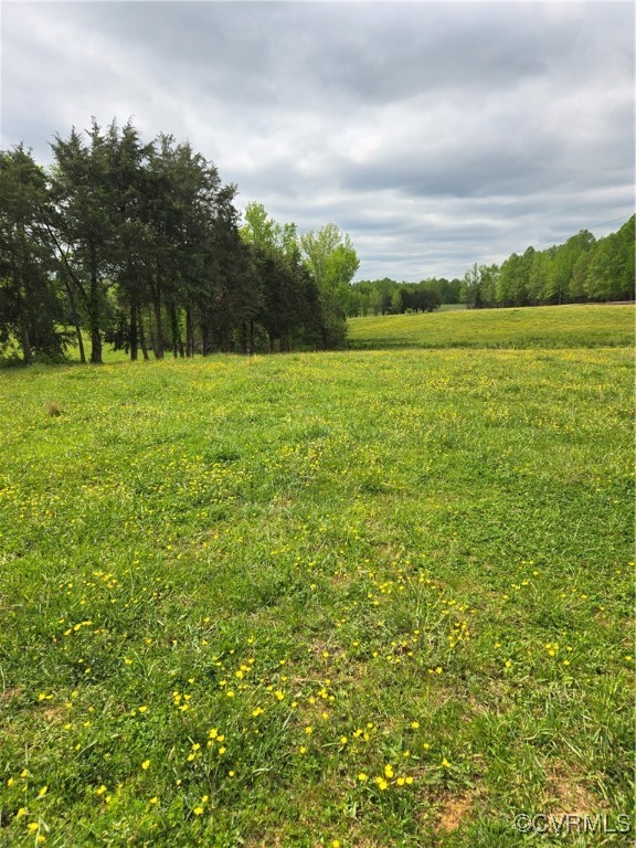 0 Perkinsville Road Maidens, VA 23102 - Photo 12 of 22