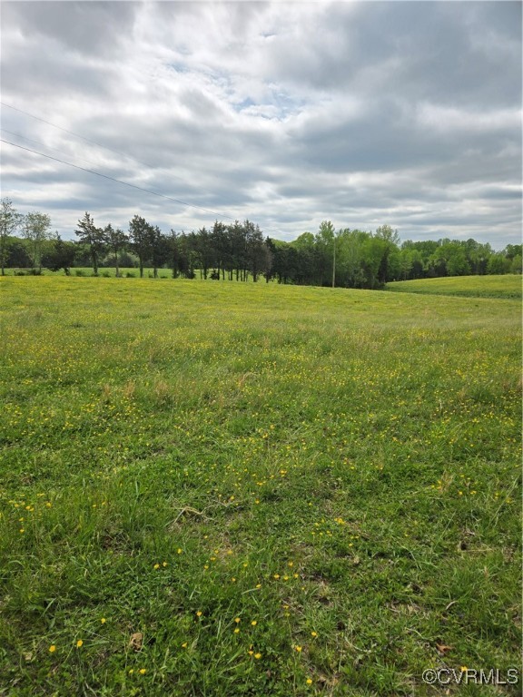 0 Perkinsville Road Maidens, VA 23102 - Photo 15 of 22