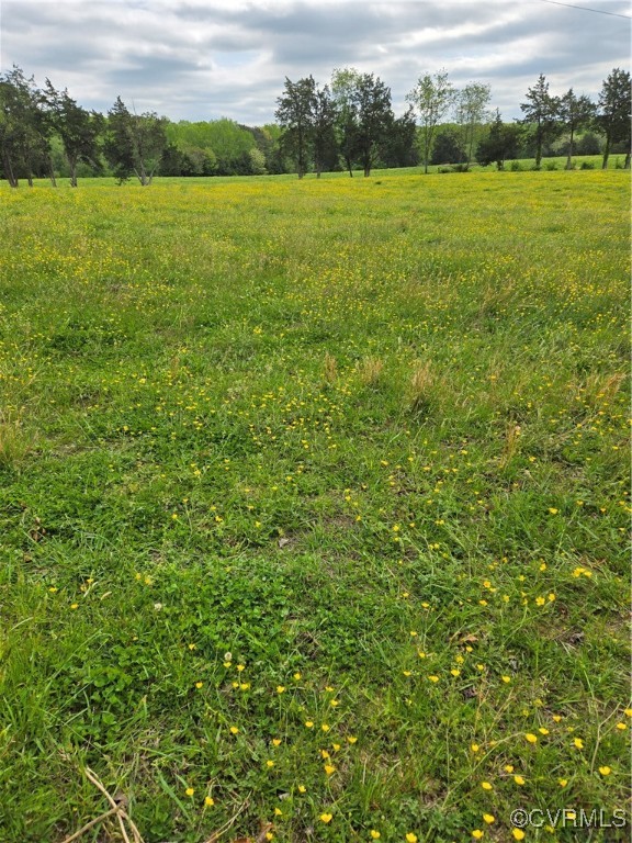 0 Perkinsville Road Maidens, VA 23102 - Photo 17 of 22