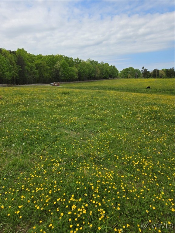 0 Perkinsville Road Maidens, VA 23102 - Photo 21 of 22