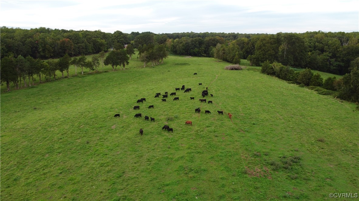 0 Perkinsville Road Maidens, VA 23102 - Photo 3 of 22