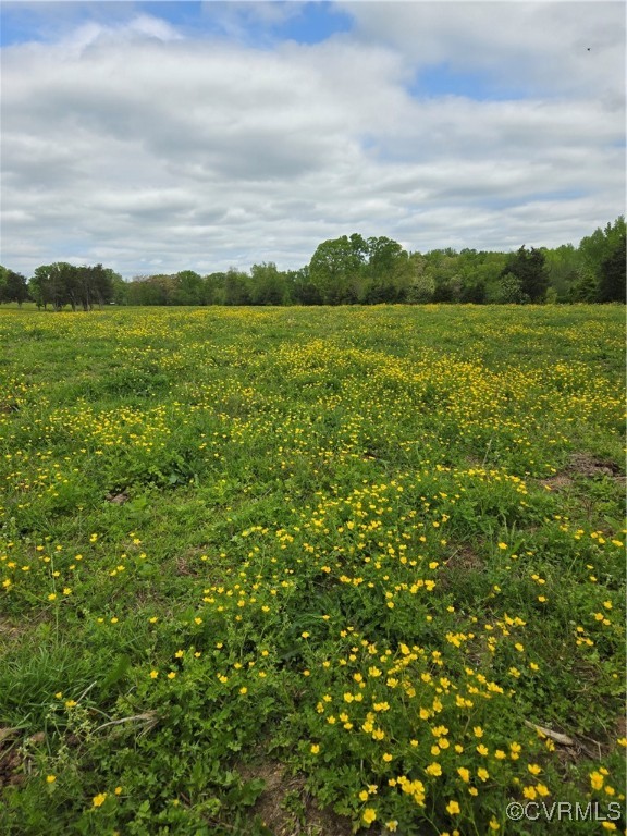 0 Perkinsville Road Maidens, VA 23102 - Photo 7 of 22