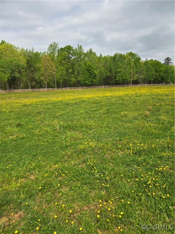 0 Perkinsville Road Maidens, VA 23102 - Photo 9 of 22