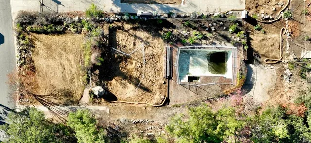 a view of a garden with plants