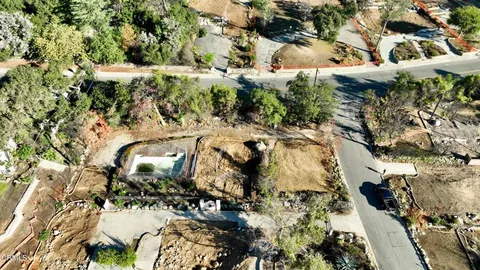 a view of a yard with plants and large trees