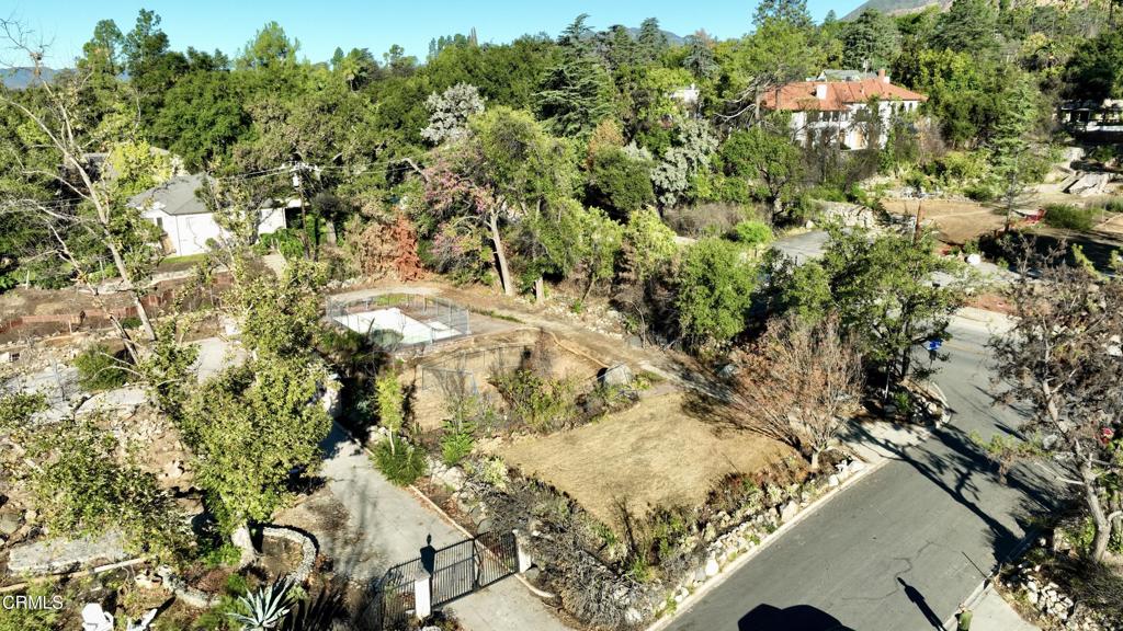 2629 Boulder Road Altadena, CA 91001 - Photo 10 of 15 a view of a yard with plants
