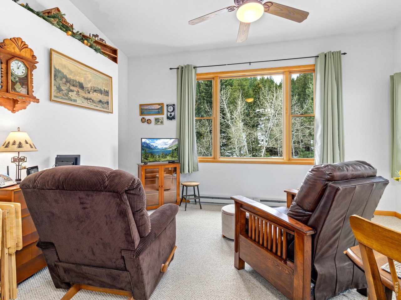 1002 Streamside Drive Drake, CO 80515 - Photo 17 of 37 a living room with furniture and a window