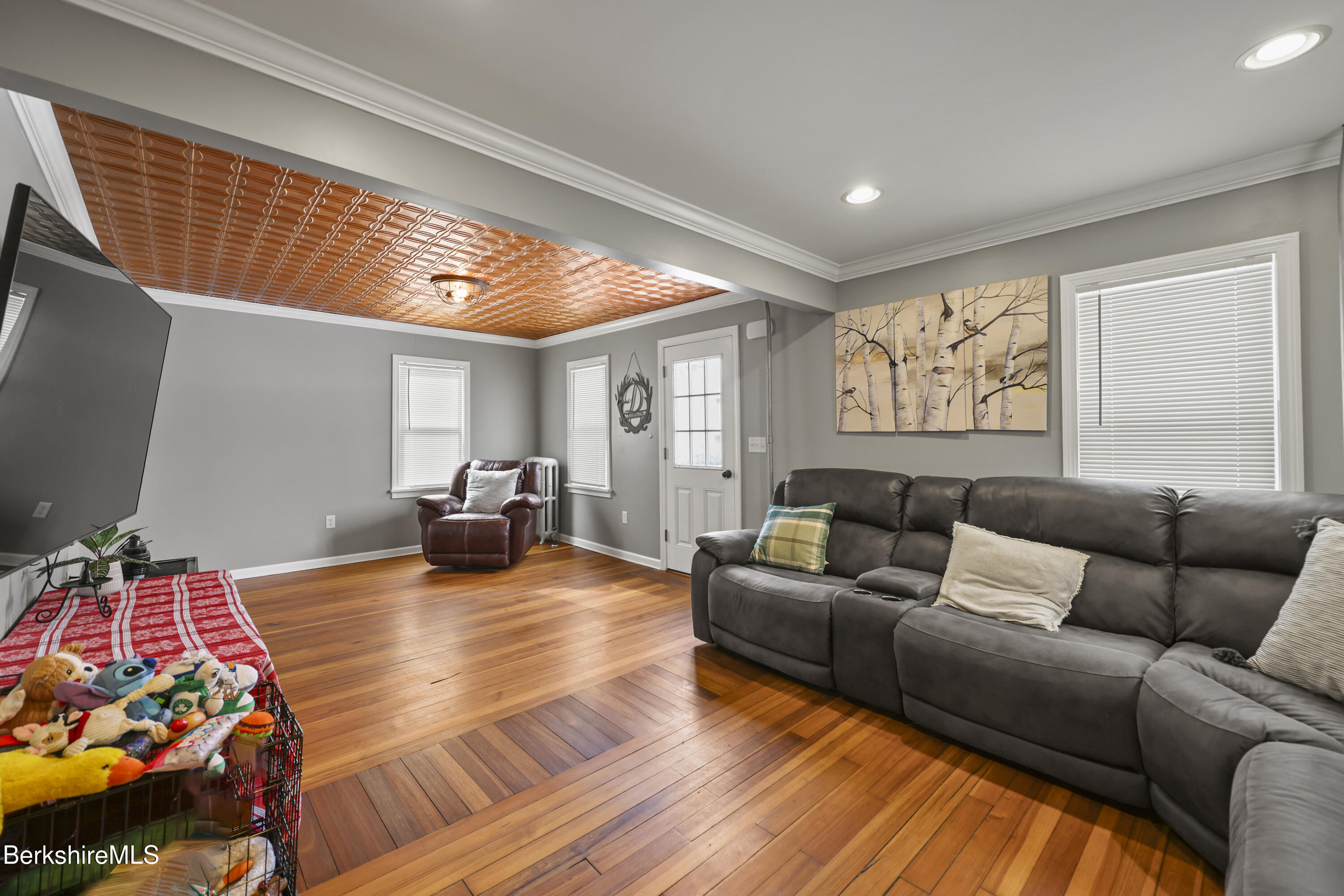40 Stearns Avenue Pittsfield, MA 01201 - Photo 3 of 25 a living room with furniture and a flat screen tv