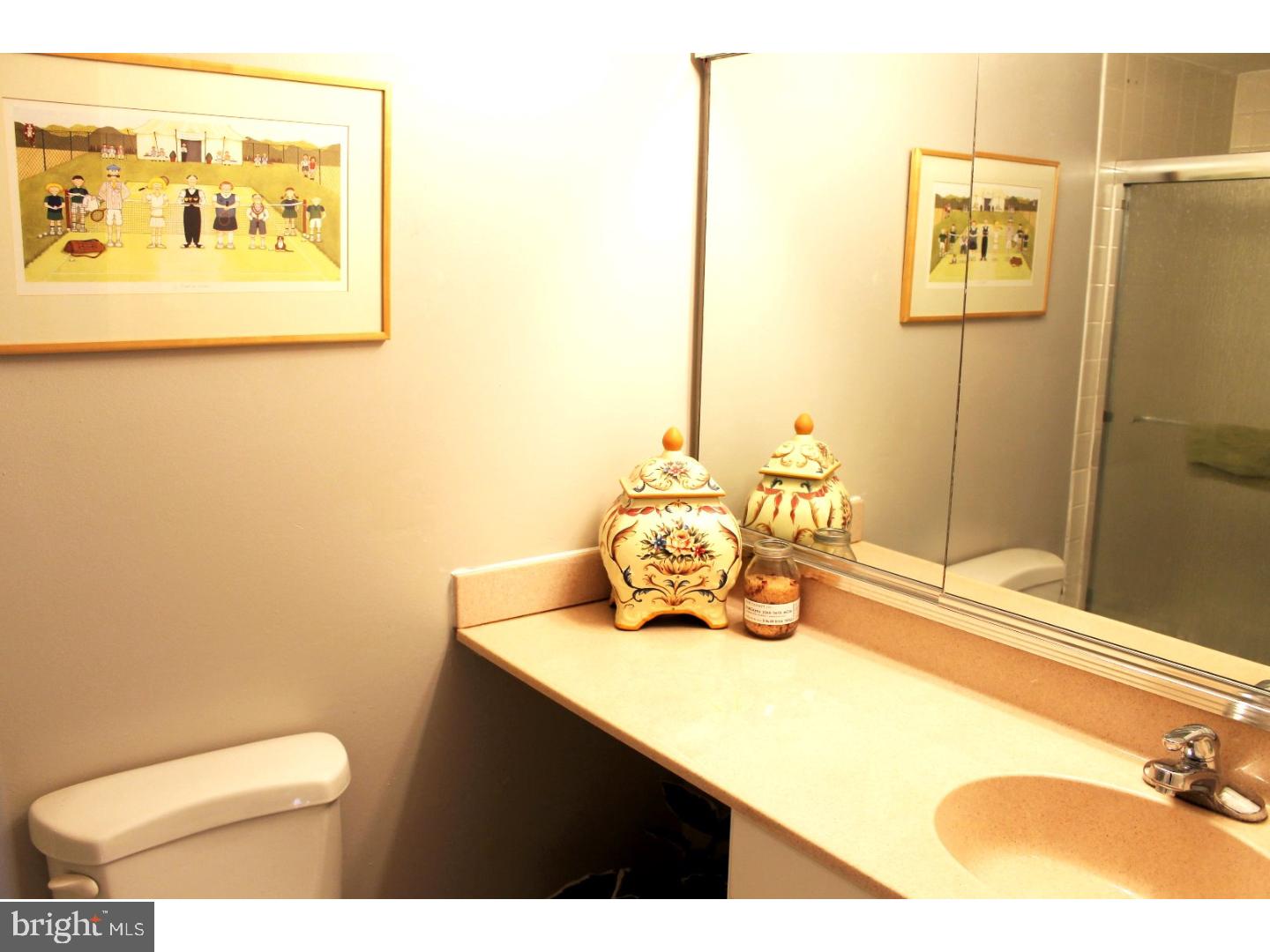 125 South Timber Road Holland, PA 18966 - Photo 15 of 25 Bathroom