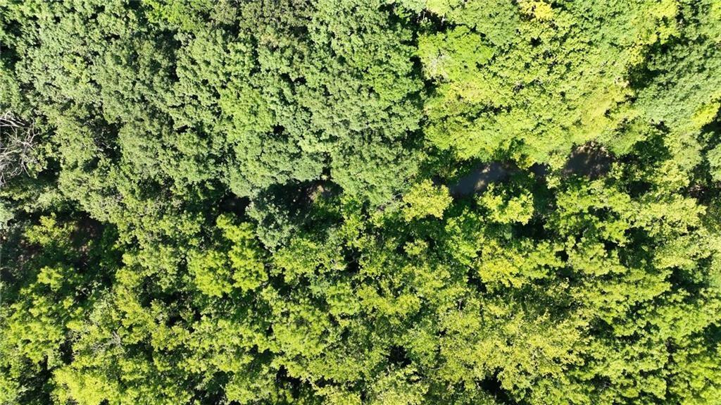 7129 Southeast Cannon Ball Road Holt, MO 64048 - Photo 24 of 29